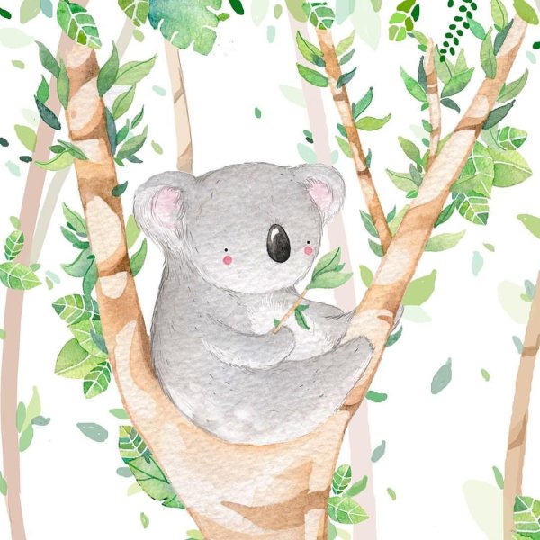 Коала Illustrator