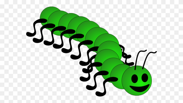 Сороконожка для детей