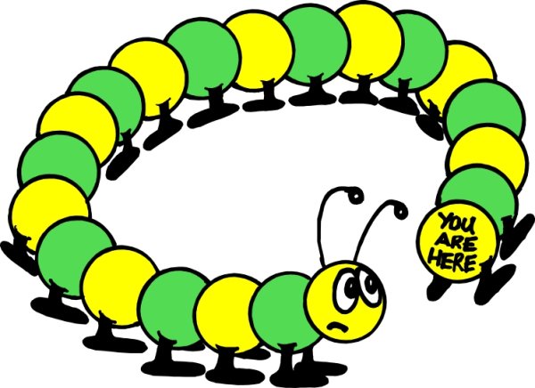 Сороконожка для детей