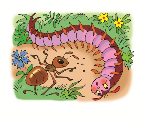 Сороконожка для детей