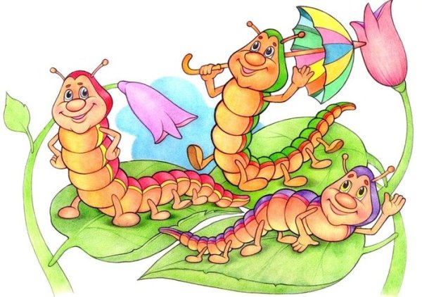 Сороконожка в сапожках