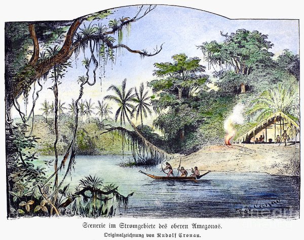 Амазонки рисунки