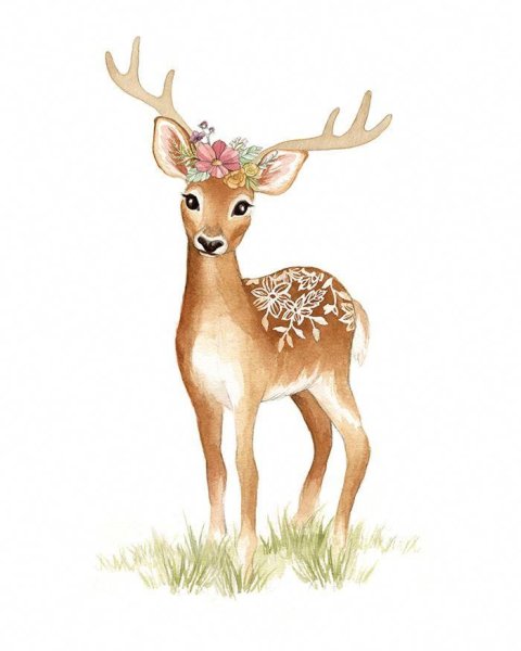 Олененок иллюстрация