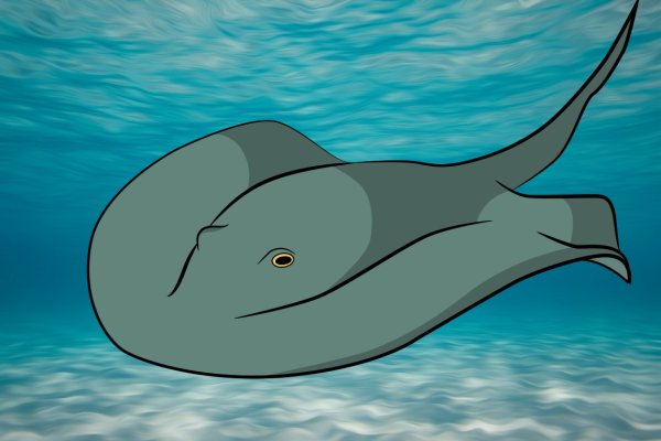 Скат раскраска