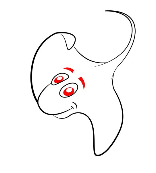 Скат контур