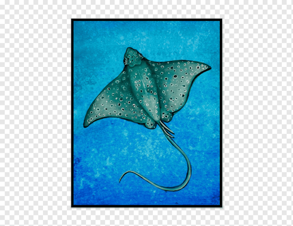 Скат раскраска