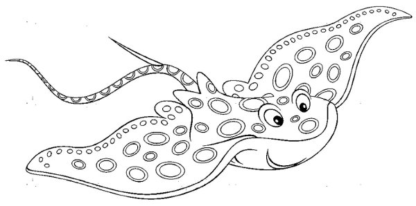 Скаты рисовать