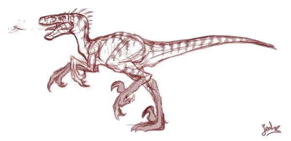 Анатомия Велоцираптора для рисования