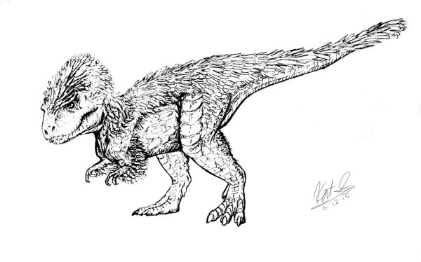 Раскраска Ark Раптор