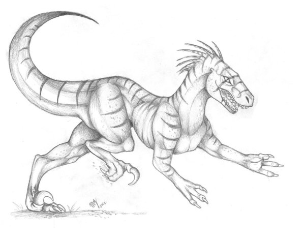 Раптор карандашом