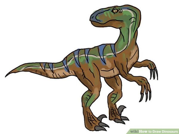 Расцветка Велоцираптора рисунок