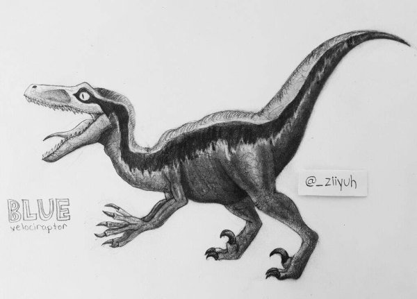 Блю динозавр из мира Юрского периода раскраска
