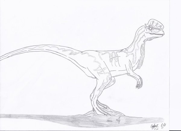 Дилофозавр парк Юрского периода раскраска