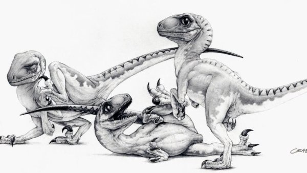 Велоцераптор карандашом