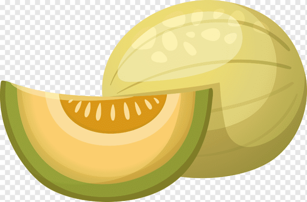 Дыня вектор