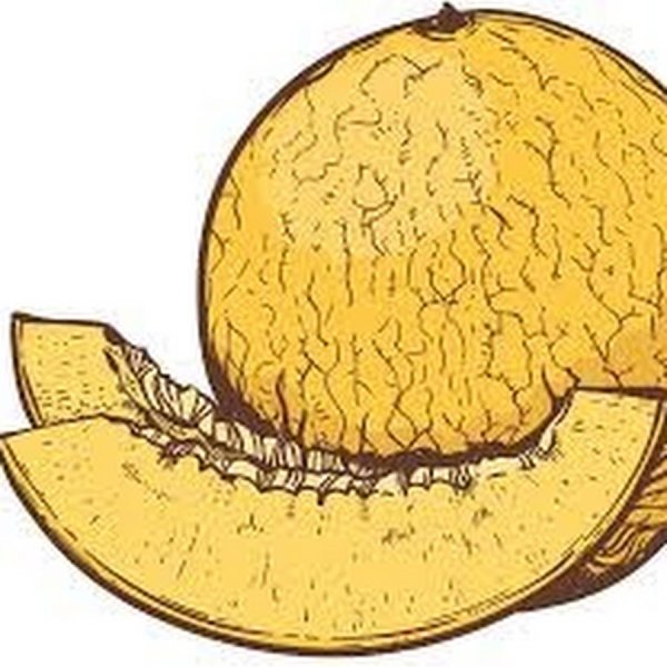 Дыня логотип