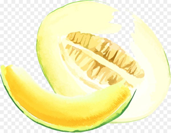 Дыня акварелью