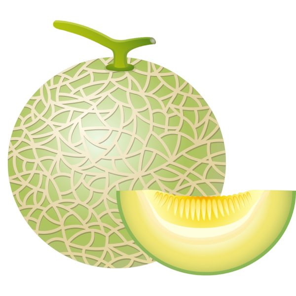 Дыня вектор