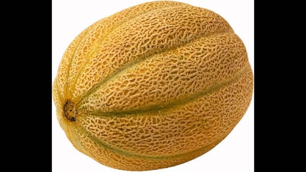 Дыня Гуляби