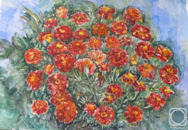 Миллефиори бархатцы