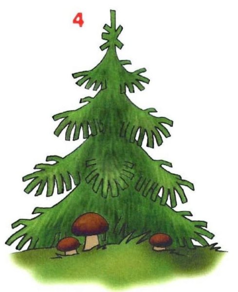 Ель рисунок