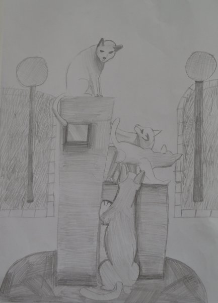 Сквер сибирских кошек Тюмень рисунок