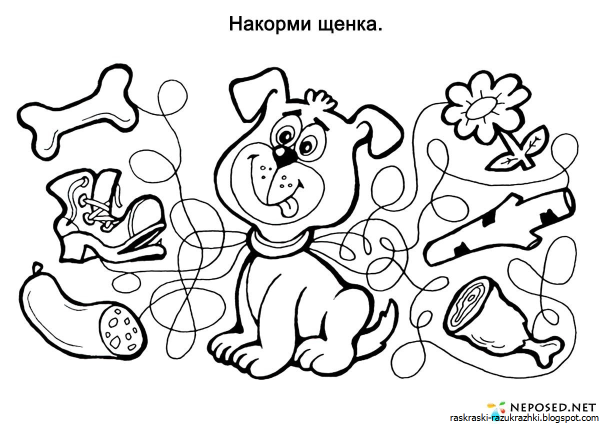 Развивательные раскраски для детей