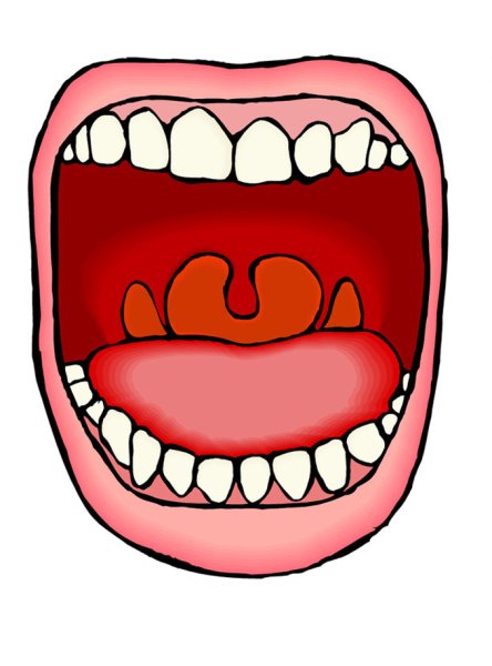 Рот рисунок