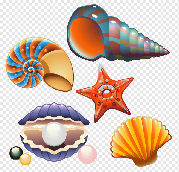 Ракушка для детей