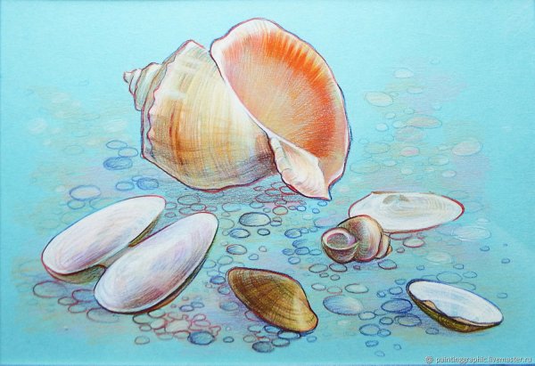 Морской натюрморт с ракушкой