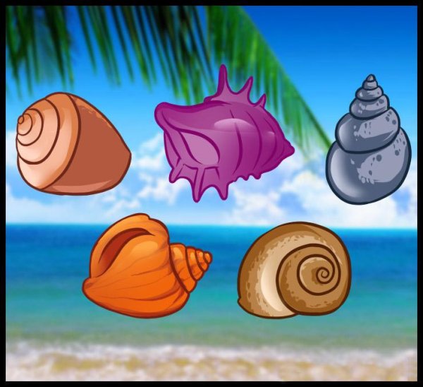 Дименшенс ракушки