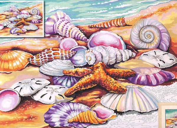 Ракушка иллюстрация