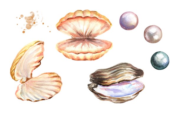 Трафарет ракушки с жемчужиной