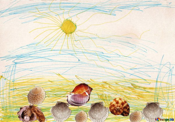 Векторная Графика ракушки