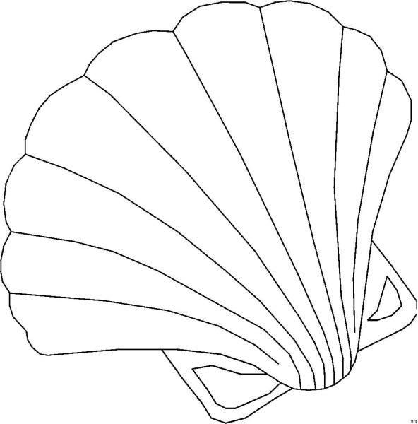 Сказочные ракушки