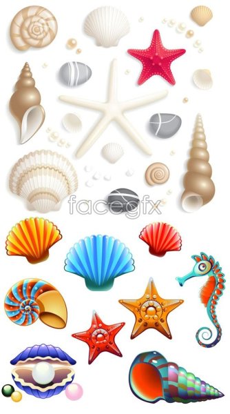 Рисование на морских ракушках