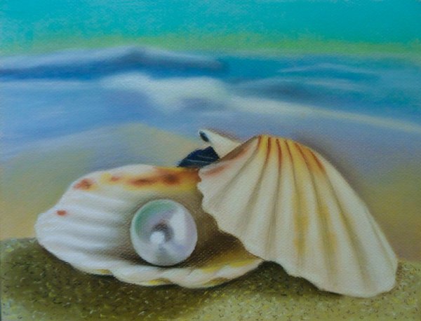 Ракушка раскраска для детей