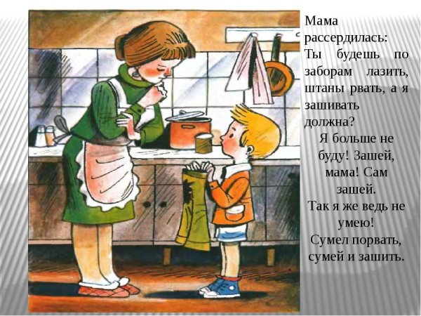 Николай Николаевич Носов заплатка