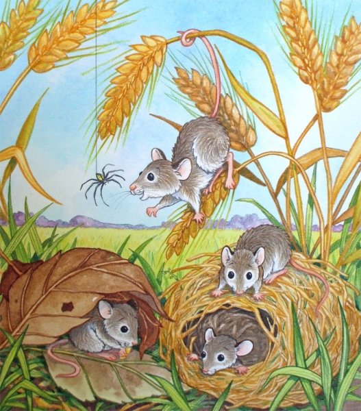 Мышка на колоске