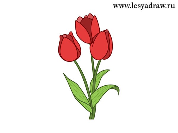 Тюльпаны мультяшные