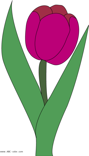 Витраж тюльпаны