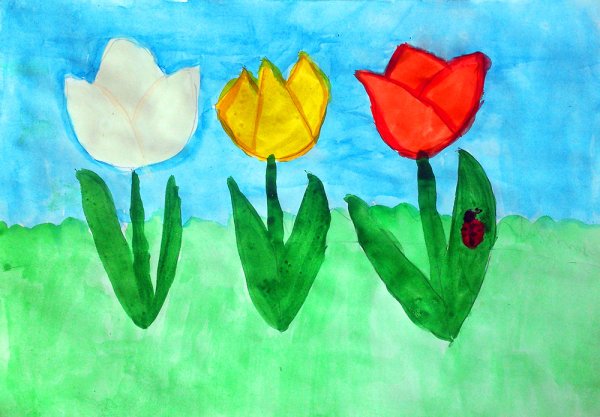 Тюльпан раскраска