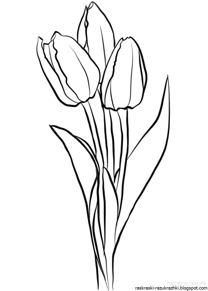 Поэтапное рисование цветов