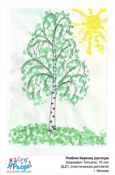 Береза рисунок