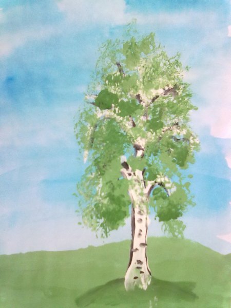 Рисование березы в старшей группе