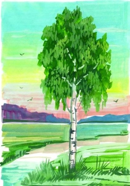 Рисование берёзка карандашом средняя