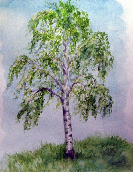 Детские рисунки березы
