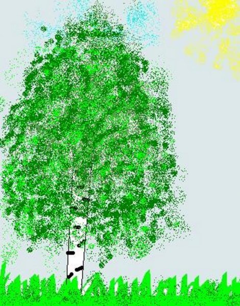 Для рисования для детей средней группы береза