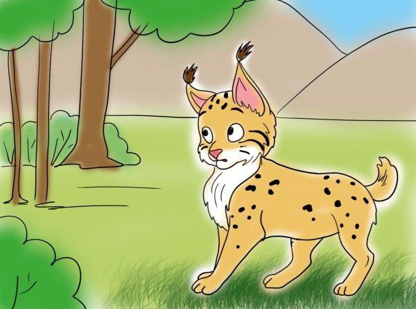 Рысь рисунок для детей