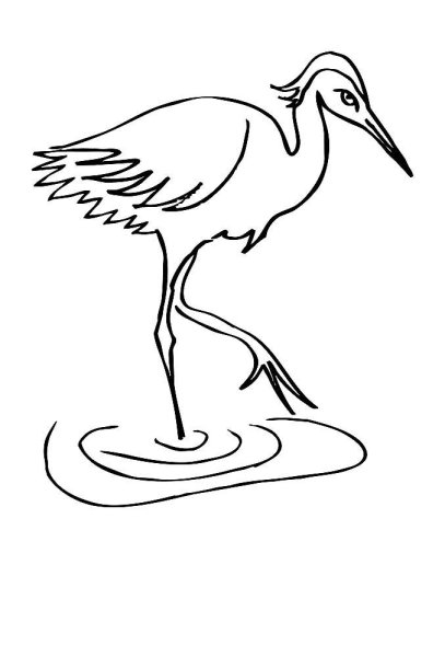 Журка пришвин журавль питается